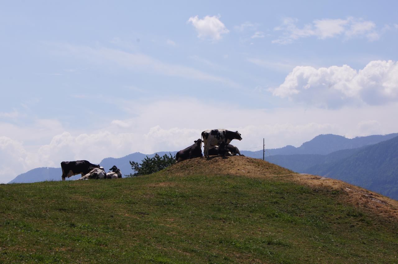 Apartmán Schlaferhof - Urlaub Am Bauernhof Fresach Exteriér fotografie
